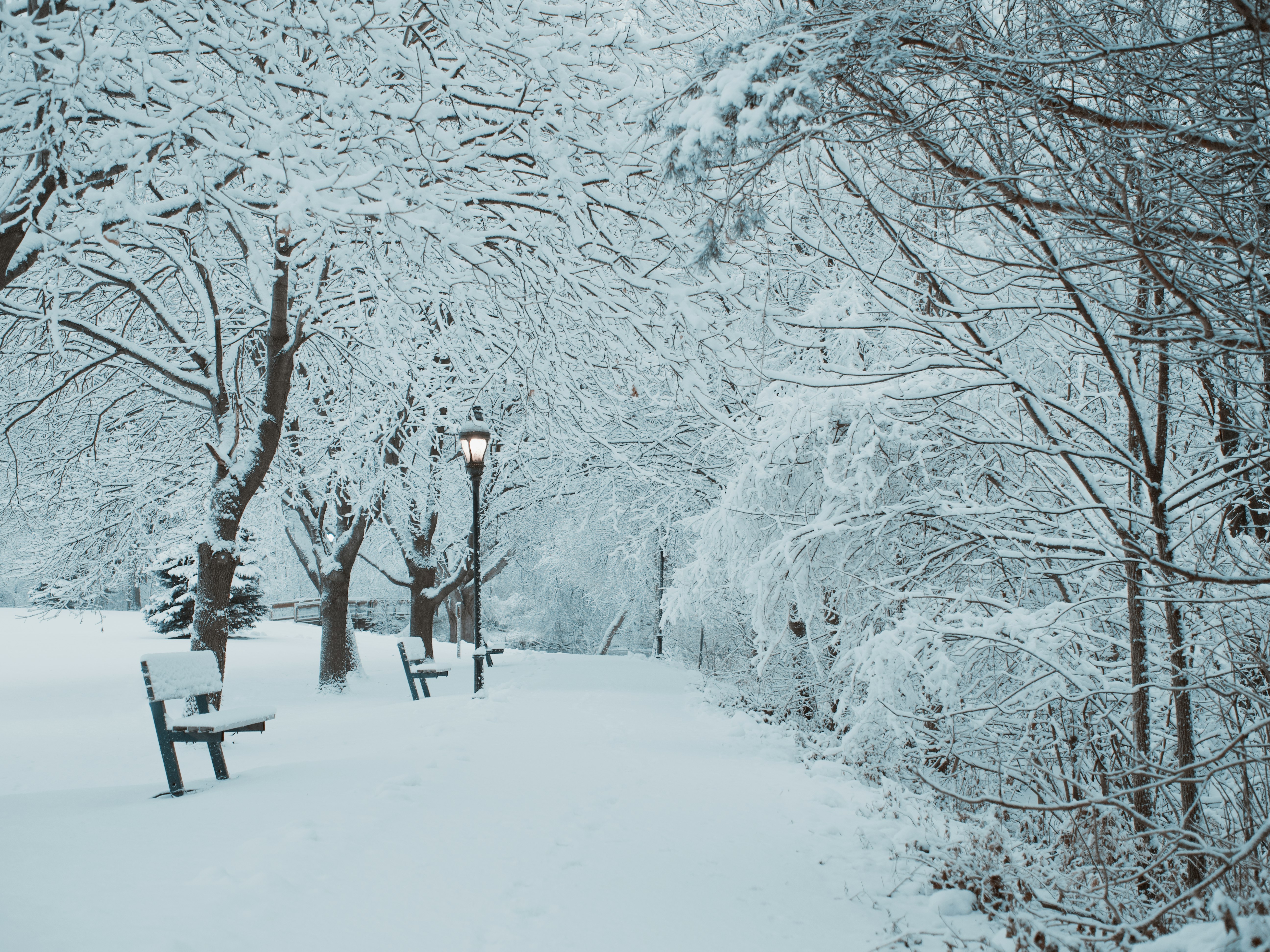 person in black jacket standing on snow covered ground during daytime